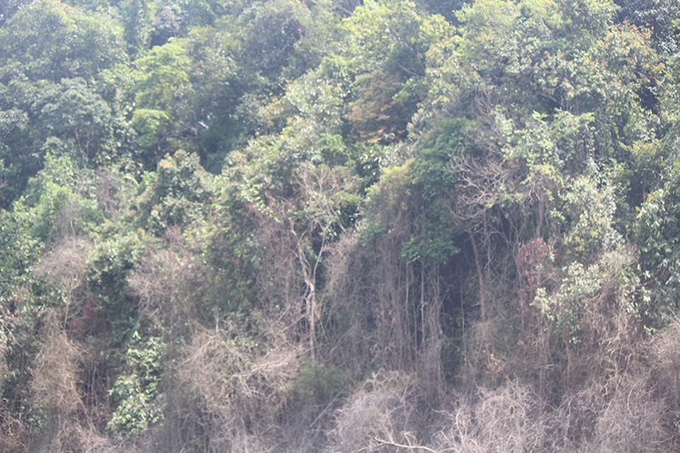 Hà Tĩnh: Căng mình soi giặc lửa - 1 Hà Tĩnh: Căng mình soi giặc lửa - 1