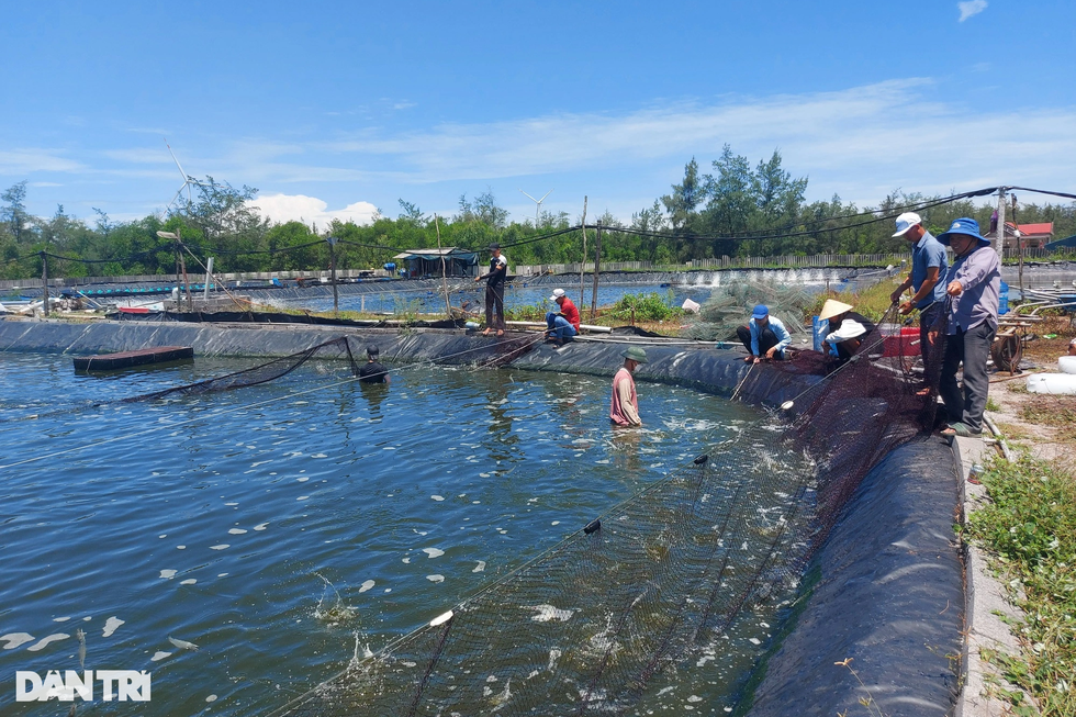 Nỗi lòng của doanh nghiệp cá tôm, gỗ, may mặc... - 2 Nỗi lòng của doanh nghiệp cá tôm, gỗ, may mặc... - 2