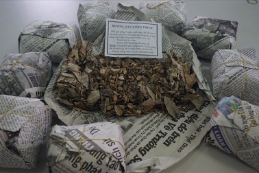 Diện kiến “thần y” dùng tay thu năng lượng vũ trụ để chữa bệnh trên đỉnh núi Hồng ở Hà Tĩnh