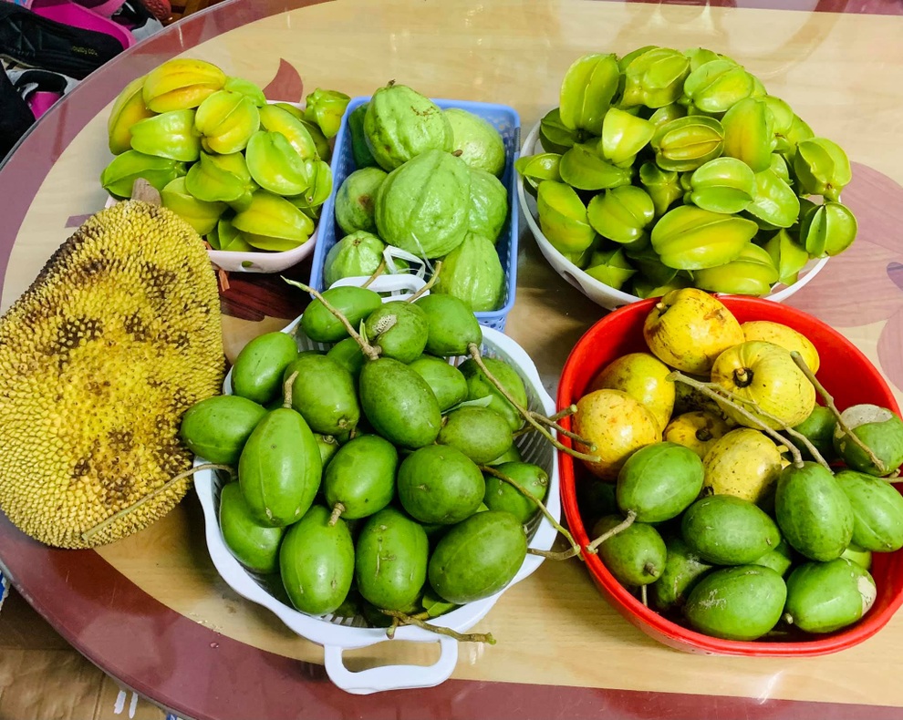Gia đình cải tạo đất cằn thành chốn nghỉ dưỡng với vườn trĩu quả, ao đầy cá - 3