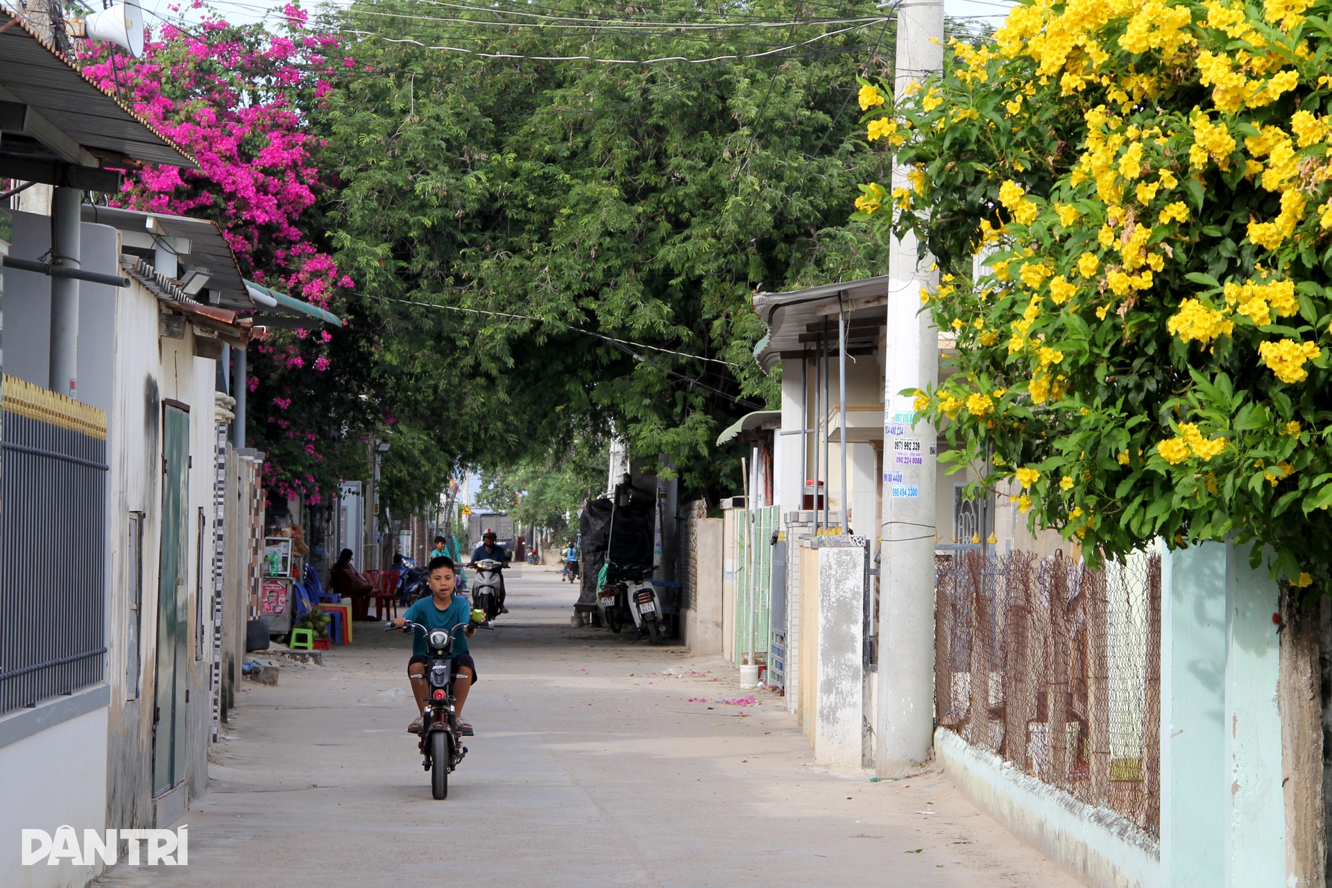 Nơi dự kiến xây dựng 2 nhà máy điện hạt nhân đầu tiên của Việt Nam - 6 Nơi dự kiến xây dựng 2 nhà máy điện hạt nhân đầu tiên của Việt Nam - 6