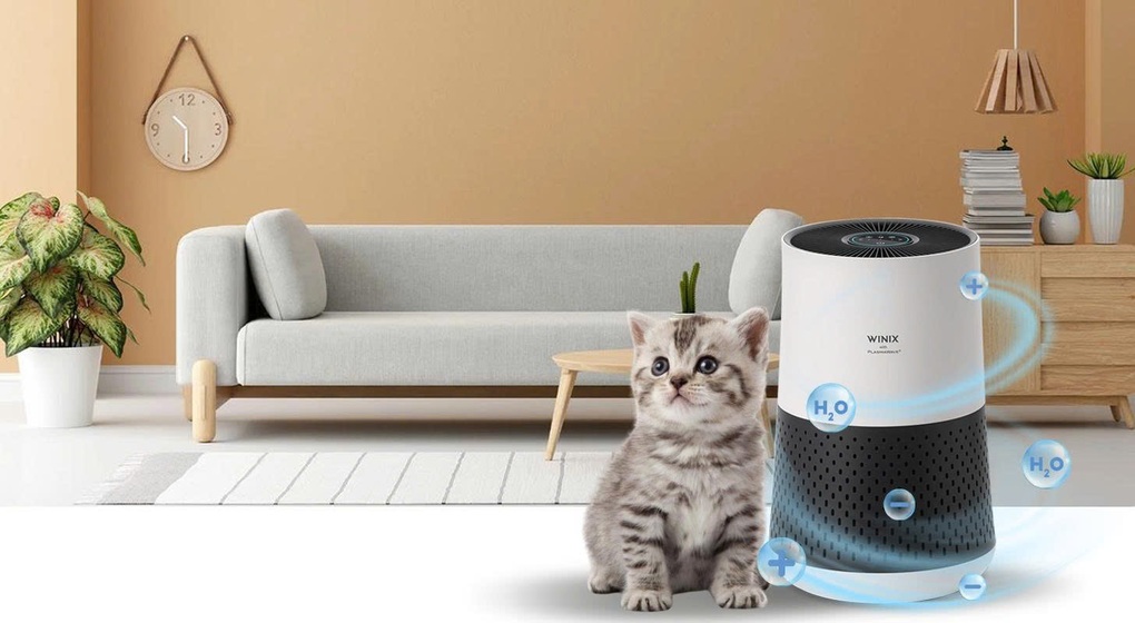 Winix mang công nghệ lọc không khí PlasmaWave đến Việt Nam - 3