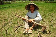 Khô hạn nghiêm trọng kéo dài tại miền Trung và Tây Nguyên 