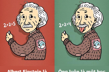 Những hiểu lầm kinh điển về lịch sử mà chúng ta thường mắc phải