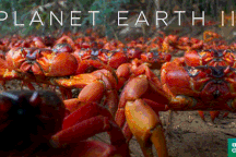 Cuộc sống khác biệt ở hòn đảo muốn mua tã lót, quần áo cũng là vấn đề