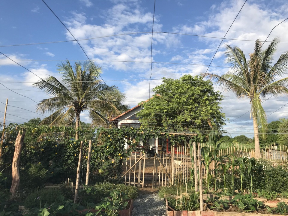 Gia đình Hà Nội về quê làm 5.000m2 ruộng vườn: Những “nỗi khổ” chưa kể - 3 Gia đình Hà Nội về quê làm 5.000m2 ruộng vườn: Những “nỗi khổ” chưa kể - 3