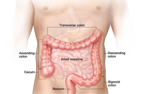 Phòng ngừa ung thư đại trực tràng không phải quá khó như chúng ta vẫn nghĩ