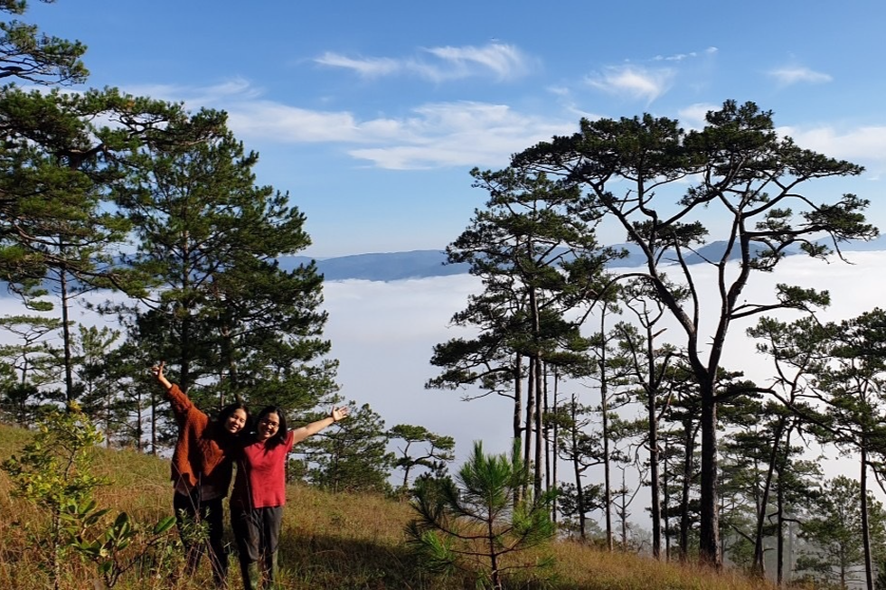 Bán chung cư, đôi bạn bỏ phố về vườn ở Đà Lạt, tự dựng nhà sống chữa lành - 2