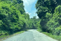 Gần 2.300 tỷ đồng nâng cấp quốc lộ 55, nối Bà Rịa - Vũng Tàu lên cao tốc