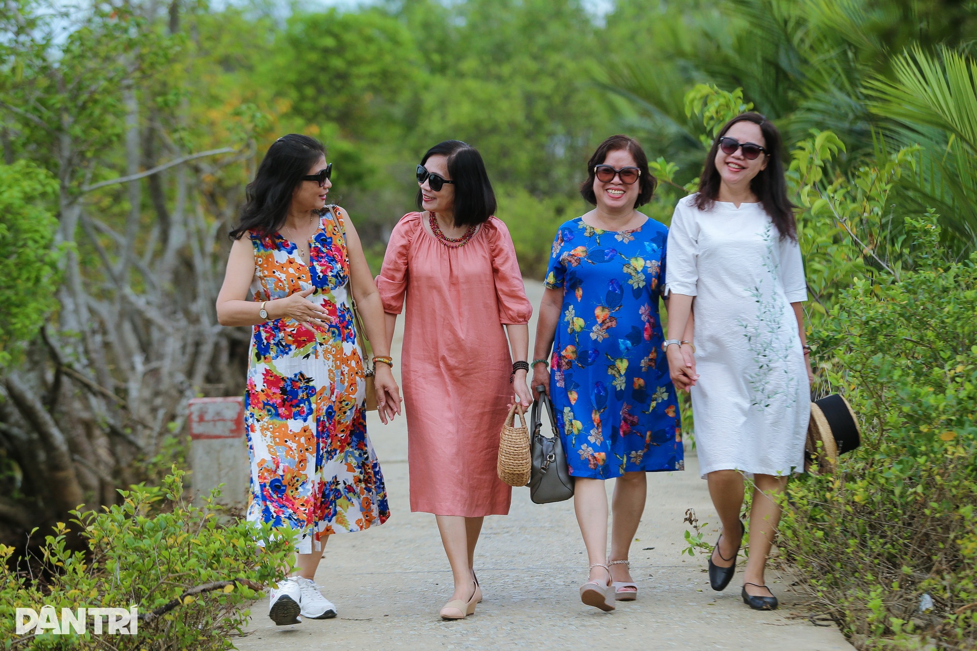 Mùa vàng ở rừng ngập mặn Rú Chá - 11 Mùa vàng ở rừng ngập mặn Rú Chá - 11