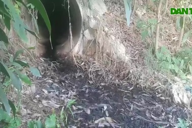 Hàng chục hộ dân "kêu cứu" vì bãi rác thải tra tấn cả ngày lẫn đêm