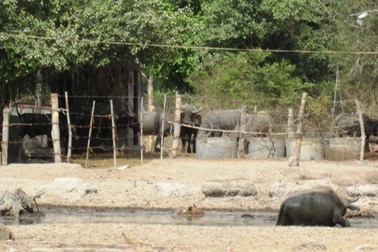 Thanh tra toàn diện dự án nửa tỷ đô “đắp chiếu” suốt 12 năm