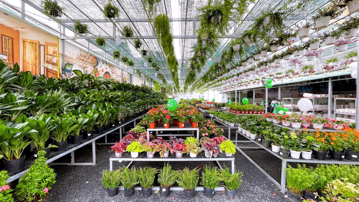 Năm 2025, VsetGreen sẽ phát triển 100 chi nhánh - 1
