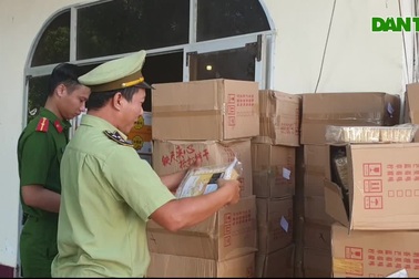 Phú Yên: Tạm giữ xe container chở hàng trăm thùng bánh kẹo “lậu”