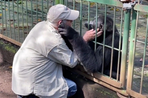 Khoảnh khắc tinh tinh và người chăm sóc trong suốt 25 năm chia tay nhau