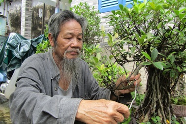 Sửa kiểng, nghề hái ra tiền ngày Tết