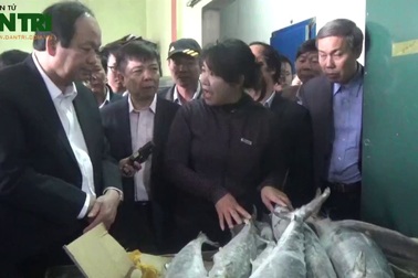 Tổ công tác của Thủ tướng Chính phủ do Bộ trưởng, Chủ nhiệm Văn phòng Chính phủ Mai Tiến Dũng dẫn đầu đã trực tiếp đến các kho đông lạnh hải sản ở Quảng Bình