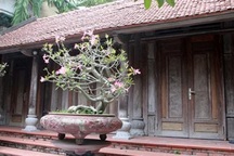 Cận cảnh căn nhà gỗ sưa đỏ được trả giá trăm tỉ đồng, chủ nhân vẫn không bán