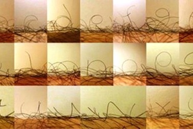 Nghệ thuật tạo kiểu chữ bằng lông chân