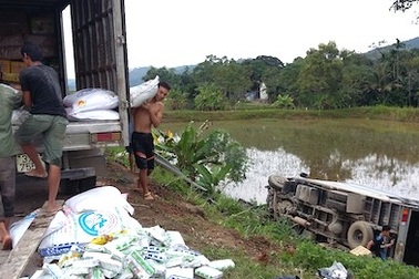 Tránh xe bò, xe tải lật xuống ruộng