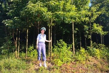 Bỏ tập đoàn lớn, lương cao, cô gái cùng chồng về quê kiếm tiền tỷ