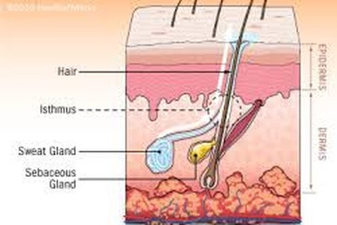 Hôi nách: Nguyên cớ tại sao, xử lý thế nào?