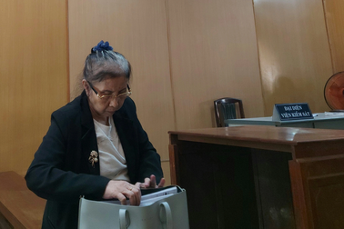 Lừa đảo hơn 14 tỷ đồng, cụ bà ở TPHCM lĩnh án 20 năm tù