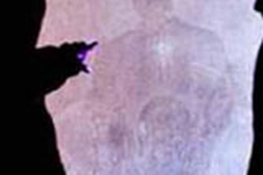 Cha xứ đã qua đời đột nhiên “hiện về” 