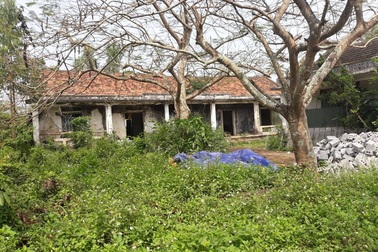 Nghệ An: Doanh nghiệp thuê đất rồi bỏ hoang, chính quyền thiếu đất xây phòng học