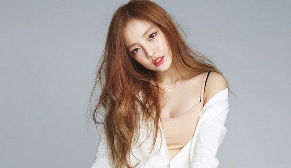 Bi kịch tranh chấp tài sản thừa kế của gia đình Goo Hara - 3 Bi kịch tranh chấp tài sản thừa kế của gia đình Goo Hara - 3
