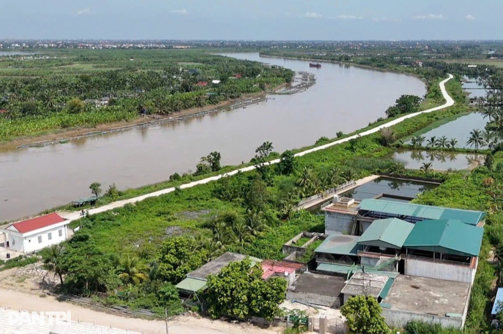 Người dân Hải Phòng khổ sở vì mương nước đen đặc, bốc mùi - 3 Người dân Hải Phòng khổ sở vì mương nước đen đặc, bốc mùi - 3