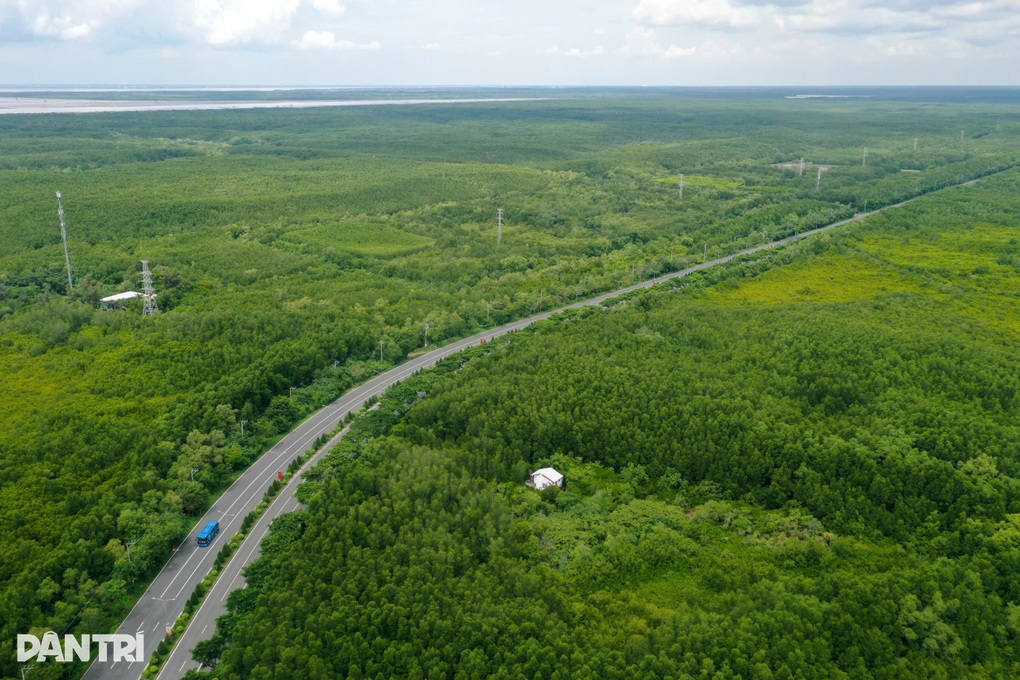 Lập hội đồng thẩm định dự án đường sắt tốc độ cao đi Cần Giờ của VinSpeed - 1