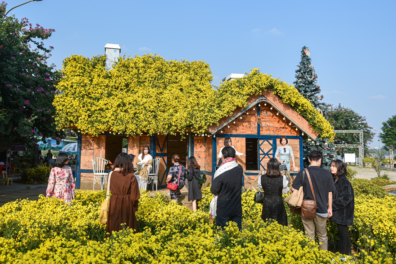 Chiêm ngưỡng ngôi nhà cúc chi đẹp mê mẩn ở Hà Nội - 1