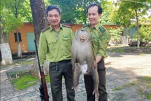 Những người hùng giải cứu động vật hoang dã ở TPHCM