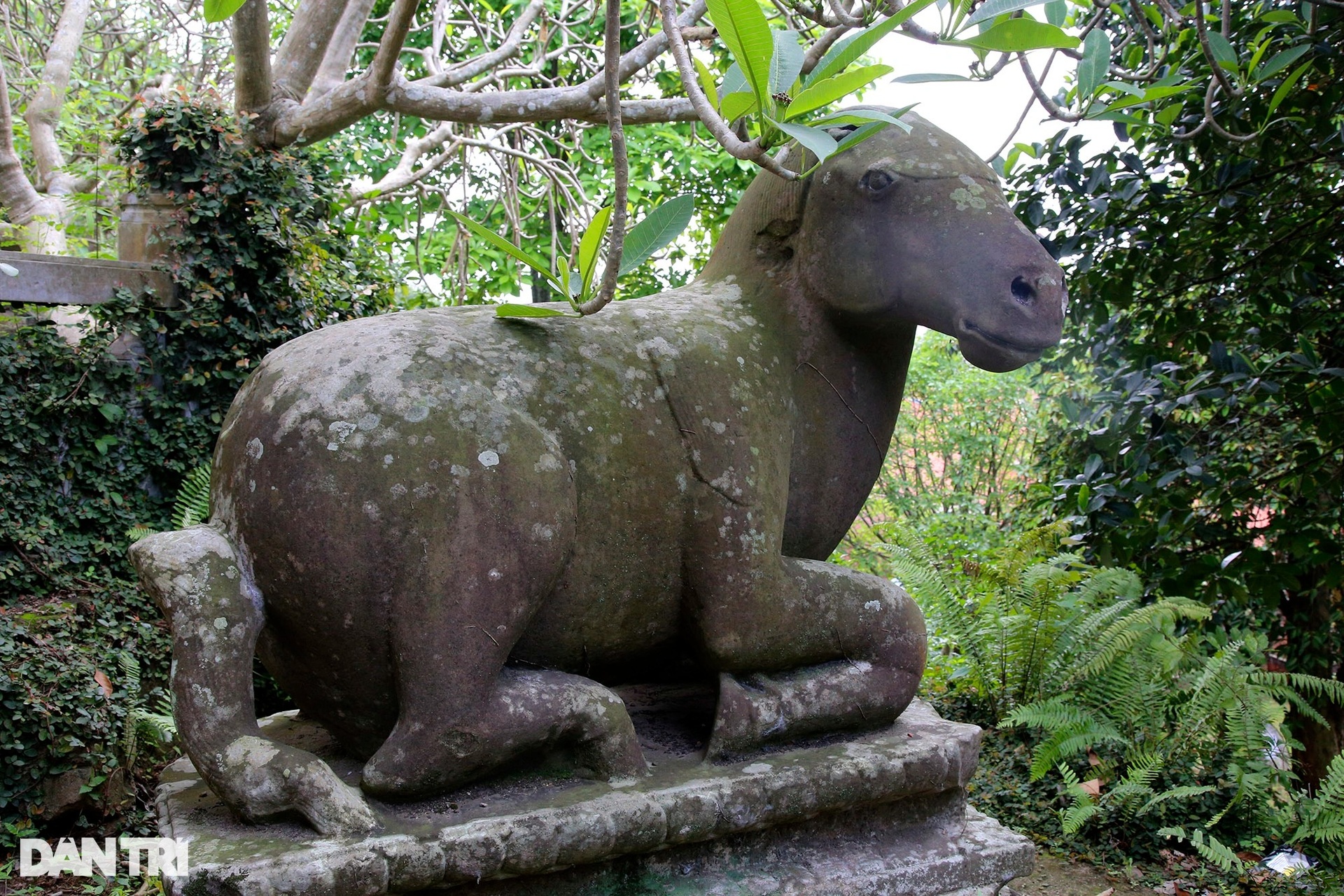 Hai bảo vật quốc gia độc bản nghìn năm tuổi chùa Phật Tích - 16