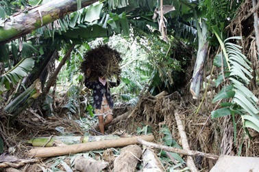 Chùm ảnh: Nơi cơn bão đi qua