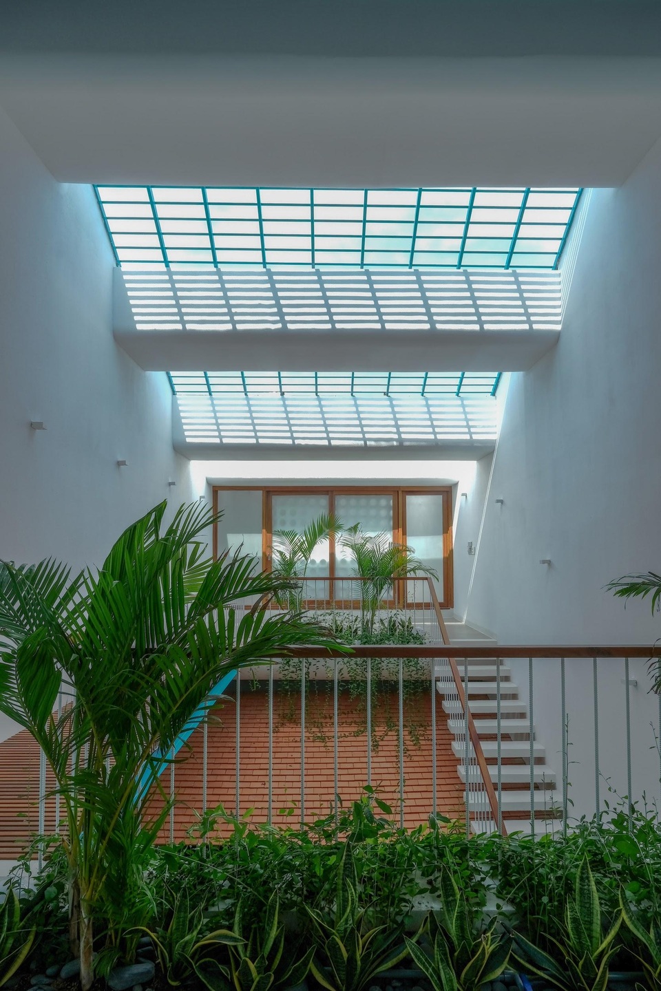 “Khu rừng nhiệt đới” nằm ẩn trong nhà phố khiến ai bước vào cũng trầm trồ - 4