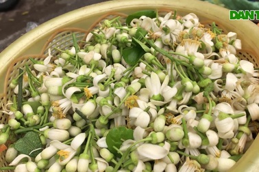 Hoa bưởi xuống phố, khách giành nhau từng chùm