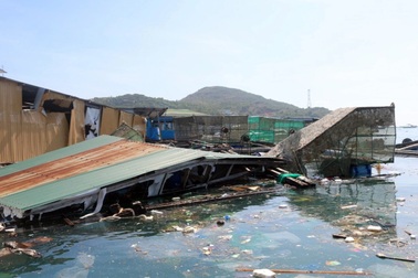 Người nuôi tôm hùm "trắng tay", hàng trăm tỷ đồng đổ ra biển sau bão số 9