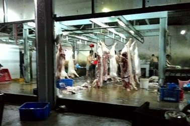 Cần Thơ: 9/15 mẫu kiểm tra không đạt vệ sinh an toàn thực phẩm
