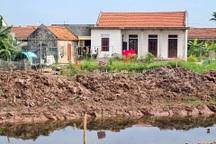 Đất ven biển Nam Định tăng "phi mã" theo dự án đường cao tốc