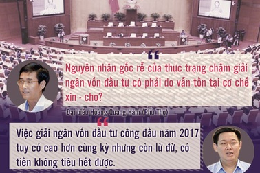Đại biểu hỏi “hóc”, Bộ trưởng, Phó Thủ tướng đáp thẳng