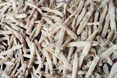 "Mì chính nhà giàu" 5 triệu đồng/kg, khách "dốc tiền" tranh nhau mua