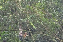 Phát hiện thi thể nghi là hung thủ chém cả gia đình vợ