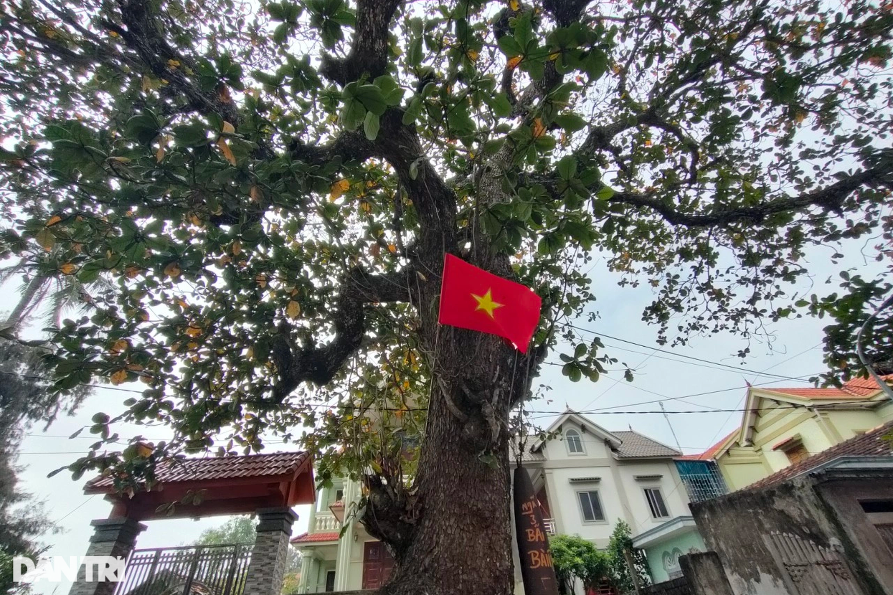 Thú vị về địa điểm gắn kết tình làng nghĩa xóm nơi chân núi Kiến Nghệ An - 6 Thú vị về địa điểm gắn kết tình làng nghĩa xóm nơi chân núi Kiến Nghệ An - 6