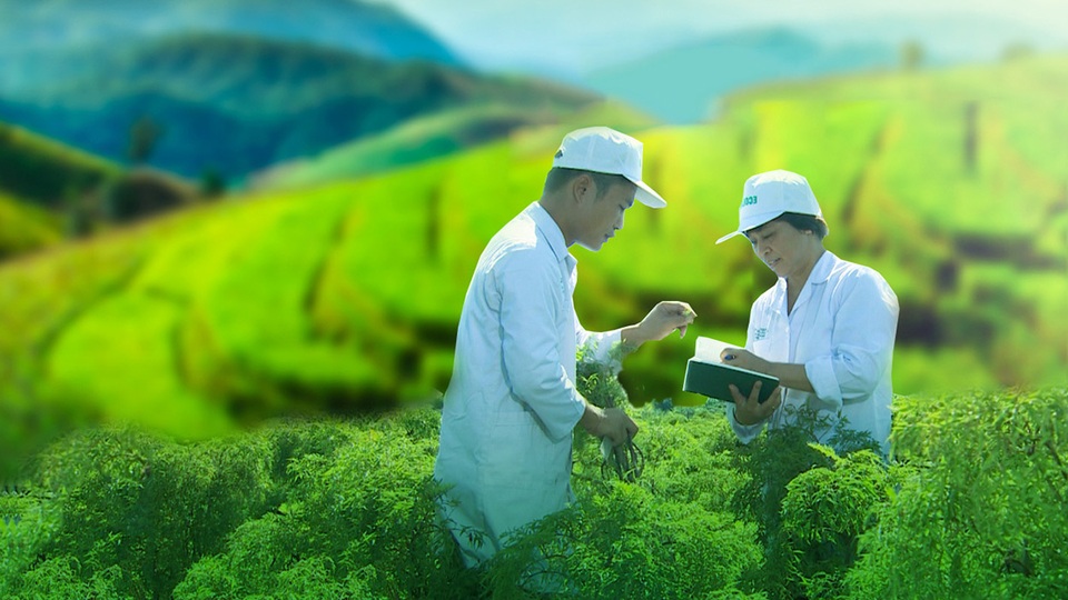 Hoạt huyết dưỡng não Traphaco trụ vững trên thị trường suốt 20 năm - 3 Hoạt huyết dưỡng não Traphaco trụ vững trên thị trường suốt 20 năm - 3