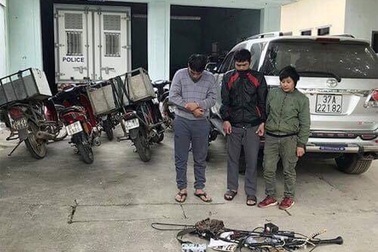 Bắt nhóm “cẩu tặc” tung hoành liên huyện