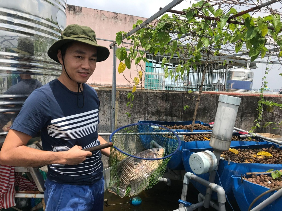 Khu vườn kết hợp nuôi cá giữa Sài thành của người đàn ông đam mê trồng cây - 5