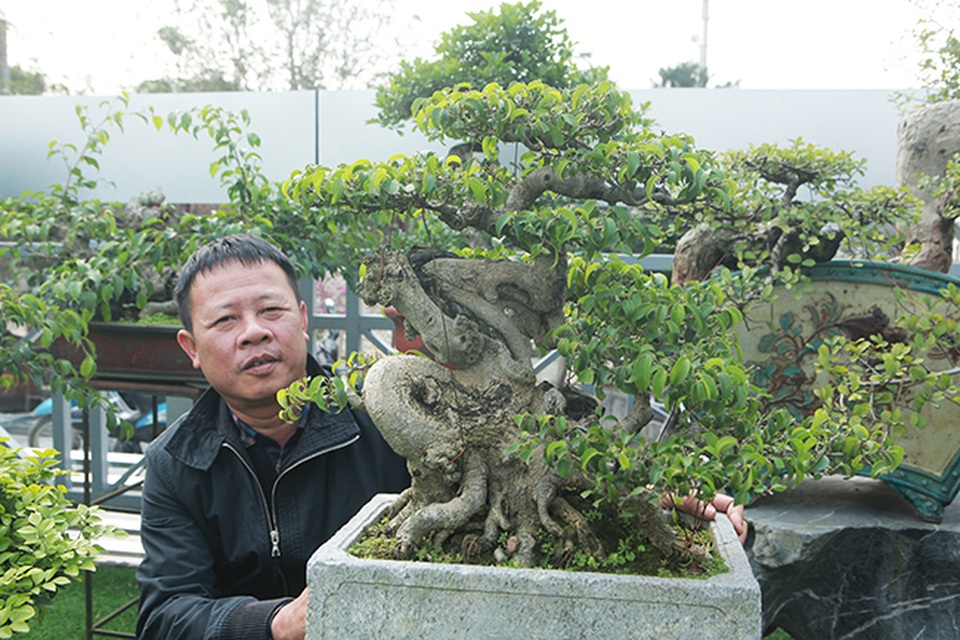 Đầu tư 10 tỷ đồng chơi cây cảnh, đại gia Hà Nội đang có khối tài sản siêu khủng - 14 Đầu tư 10 tỷ đồng chơi cây cảnh, đại gia Hà Nội đang có khối tài sản siêu khủng - 14