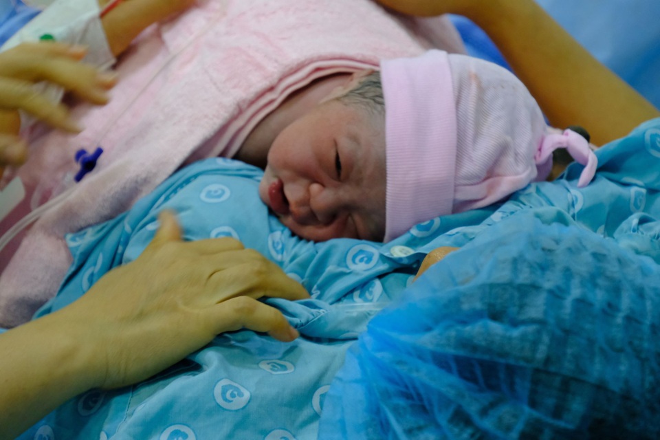 Ngắm những cô cậu chuột vàng chào đời trong thời khắc giao thừa - 6 Ngắm những cô cậu chuột vàng chào đời trong thời khắc giao thừa - 6